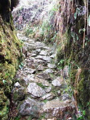 64-camino-incaico.jpg